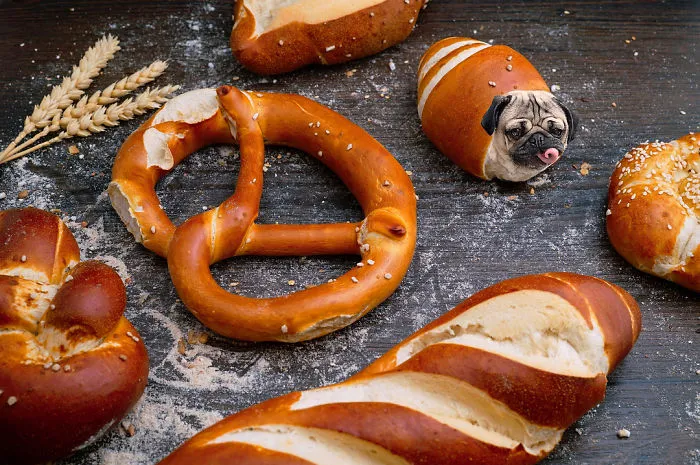 Instagram Account Photoshops Dogs Into Food And It's Hilariously Weird (90 Pics)