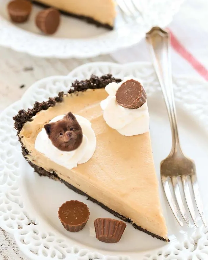 Instagram Account Photoshops Dogs Into Food And It's Hilariously Weird (90 Pics)