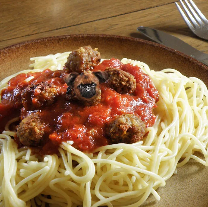 Instagram Account Photoshops Dogs Into Food And It's Hilariously Weird (90 Pics)