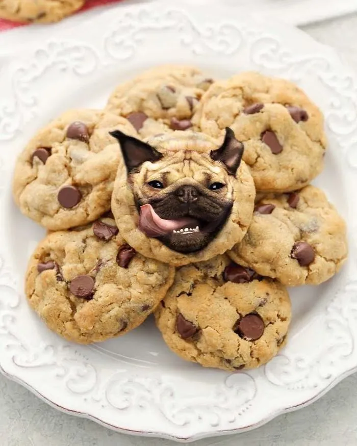 Instagram Account Photoshops Dogs Into Food And It's Hilariously Weird (90 Pics)