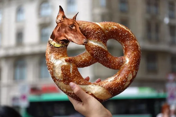 Instagram Account Photoshops Dogs Into Food And It's Hilariously Weird (90 Pics)