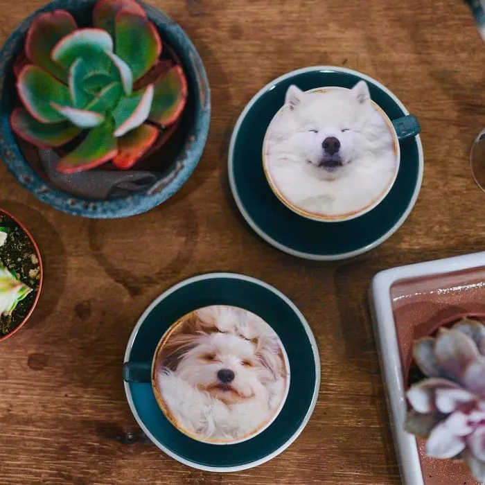 Instagram Account Photoshops Dogs Into Food And It's Hilariously Weird (90 Pics)