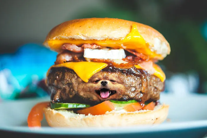 Instagram Account Photoshops Dogs Into Food And It's Hilariously Weird (90 Pics)