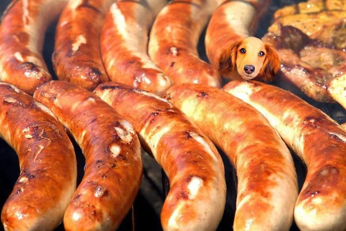 Instagram Account Photoshops Dogs Into Food And It's Hilariously Weird (90 Pics)
