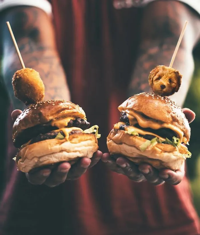 Instagram Account Photoshops Dogs Into Food And It's Hilariously Weird (90 Pics)