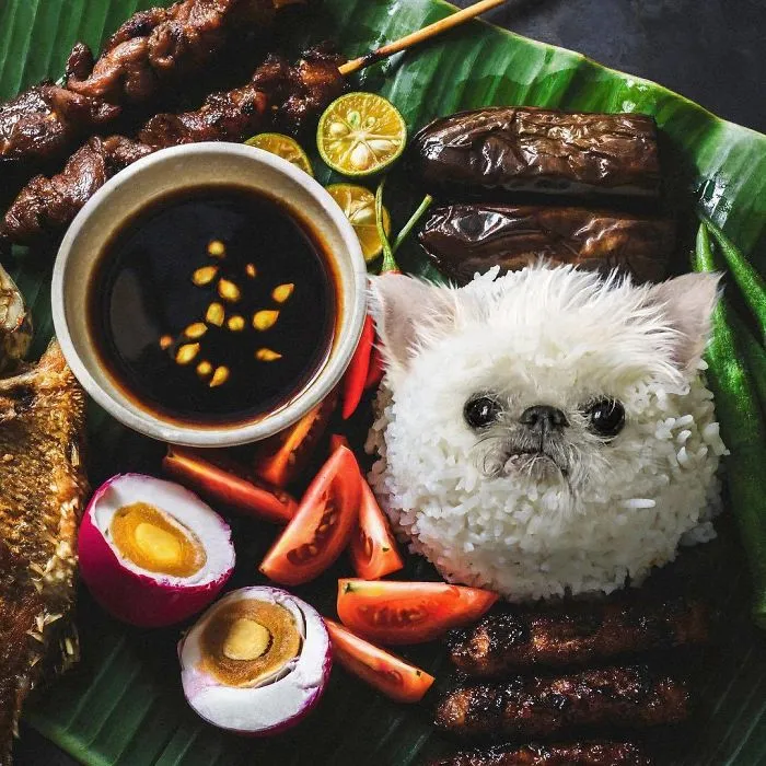 Instagram Account Photoshops Dogs Into Food And It's Hilariously Weird (90 Pics)