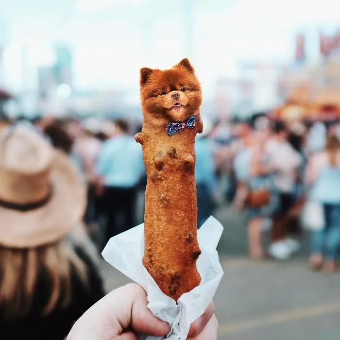 Instagram Account Photoshops Dogs Into Food And It's Hilariously Weird (90 Pics)