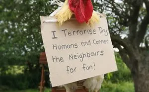 40 Hilarious Pets That Got Shamed Publicly For Being Naughty