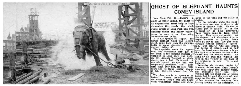 30 Amazing Elephant Facts