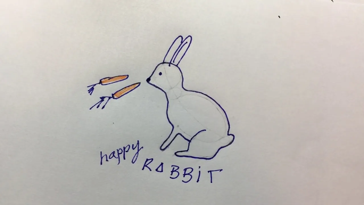 How To Draw A Rabbit