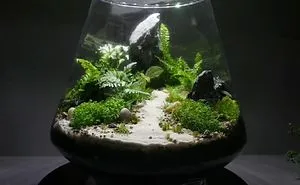 How To Make A Forest In Glass