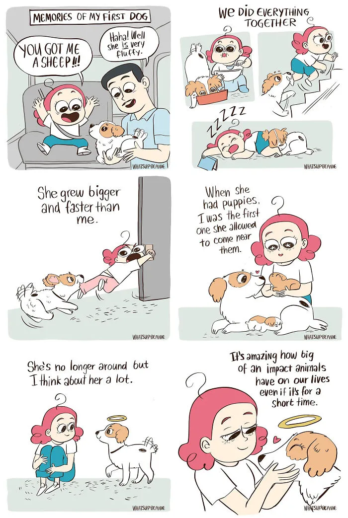 First Dog