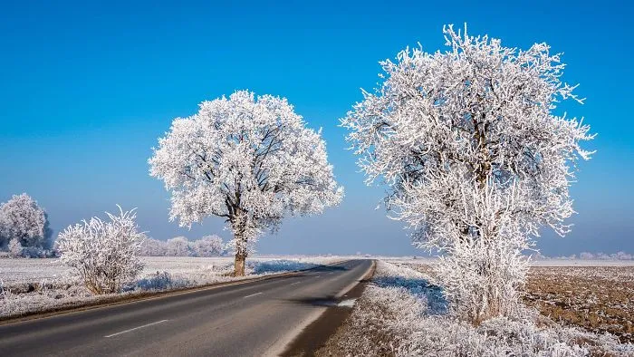 I Traveled To Romania In Winter To Capture The Beautiful Nature And Old Traditions (26 Pics)