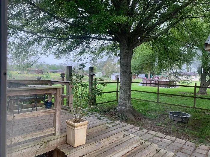 Country Life. Louisiana