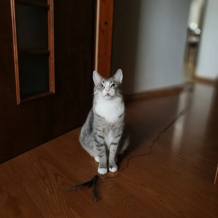Mi compañero se asegura de que descanse regularmente