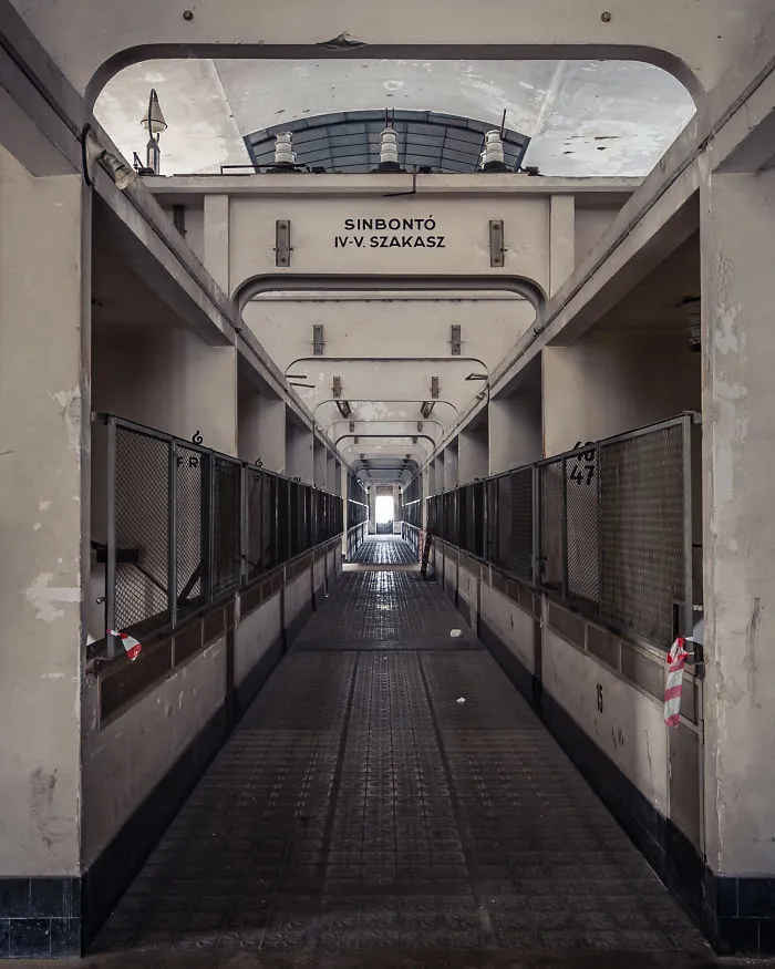 A Long Corridor
