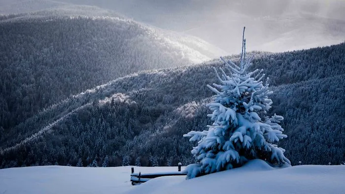 I Traveled To Romania In Winter To Capture The Beautiful Nature And Old Traditions (26 Pics)