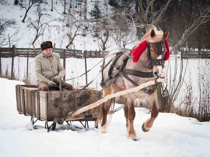 I Traveled To Romania In Winter To Capture The Beautiful Nature And Old Traditions (26 Pics)
