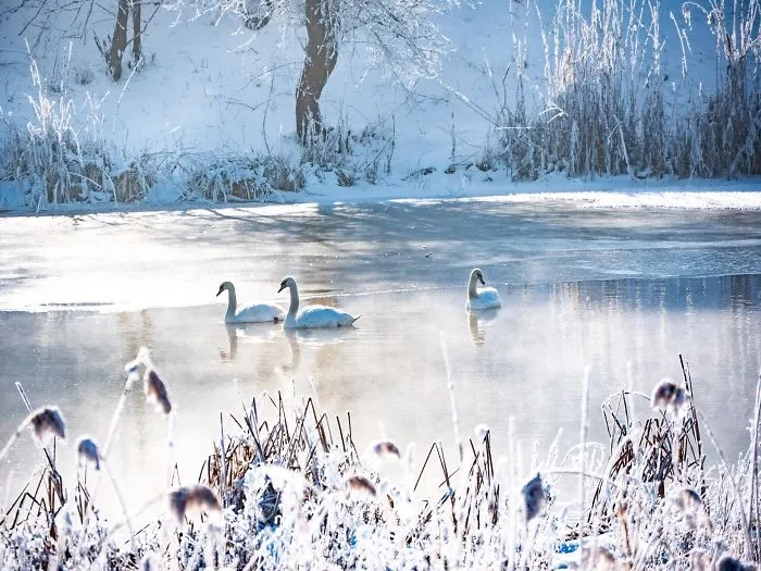 I Traveled To Romania In Winter To Capture The Beautiful Nature And Old Traditions (26 Pics)