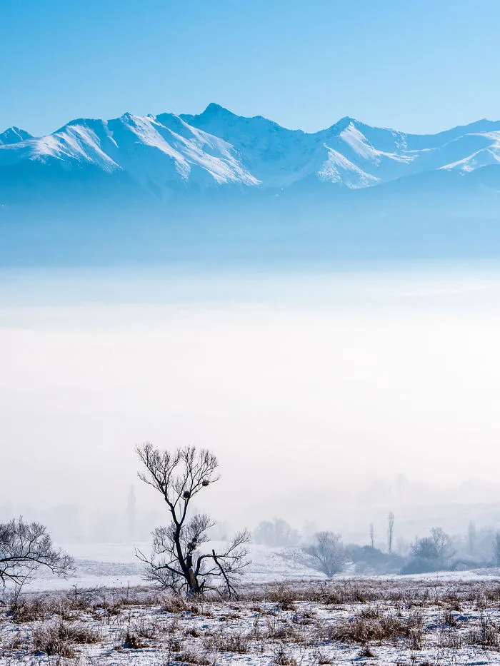 I Traveled To Romania In Winter To Capture The Beautiful Nature And Old Traditions (26 Pics)