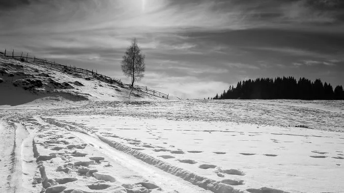 I Traveled To Romania In Winter To Capture The Beautiful Nature And Old Traditions (26 Pics)