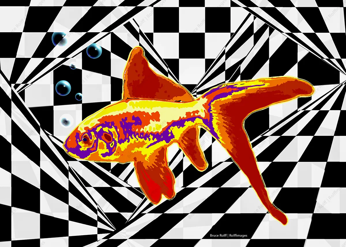 The Fish