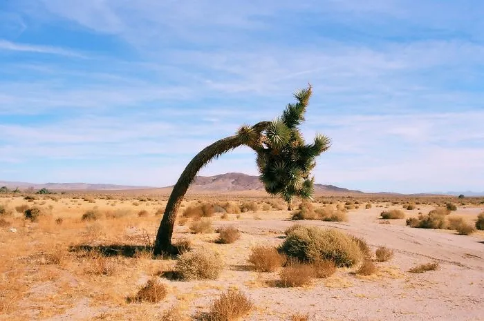 Hinkley, California