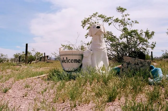 Boulder City Pet Cemetery, Nevada