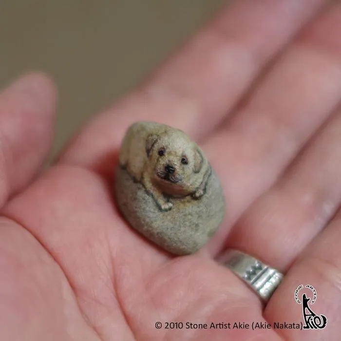 Japanese Artist Brings Stones To Life By Turning Them Into Animals That Fit In The Palm Of Your Hand (30 New Pics)