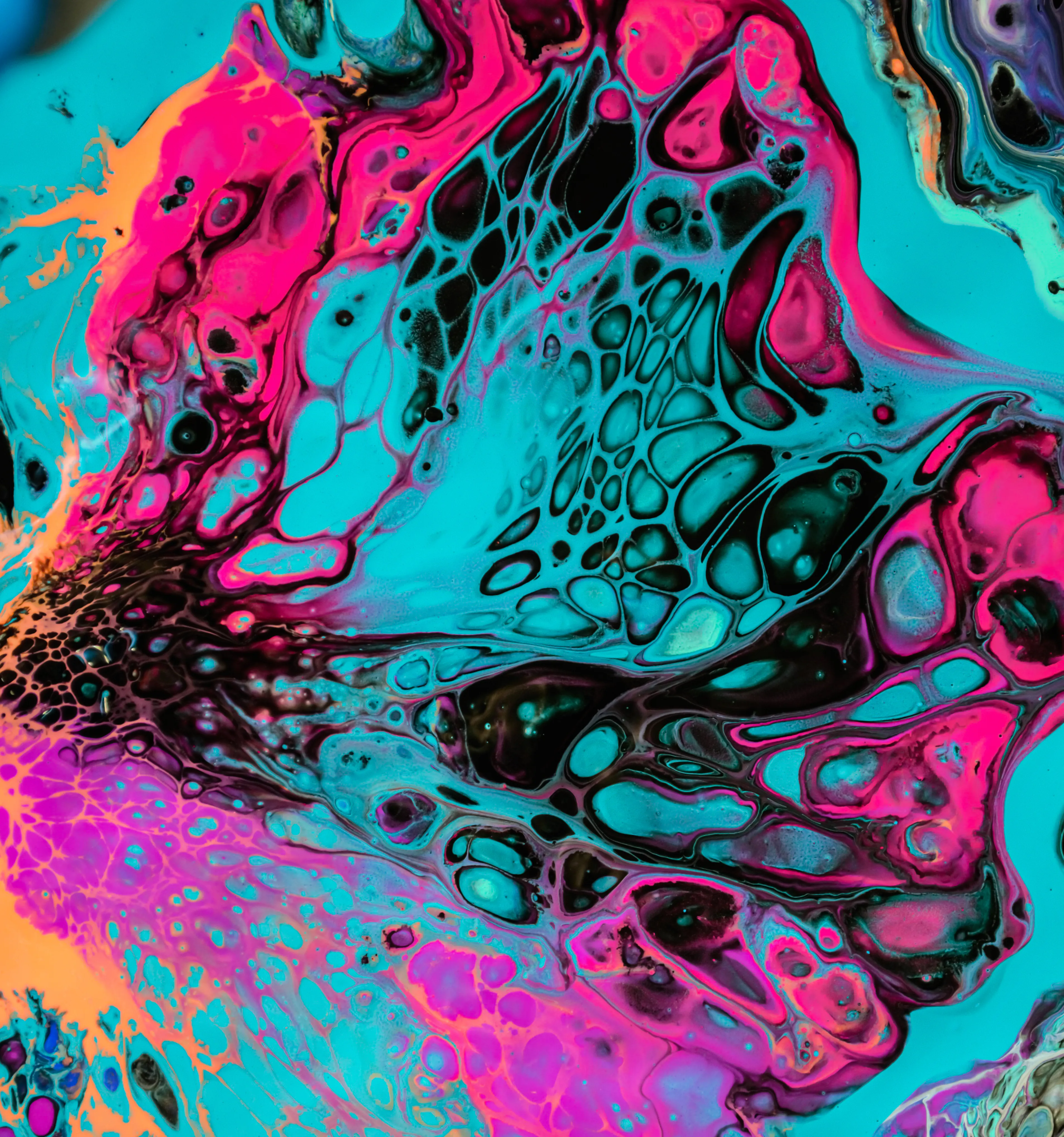 From Childhood's Biology Fascination , To The Abstract Art