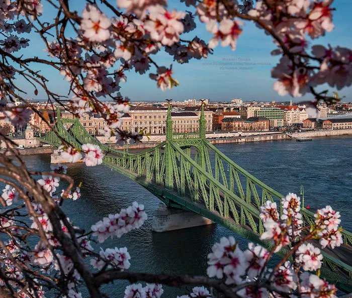My 29 Pics From Budapest During The Coronavirus Quarantine
