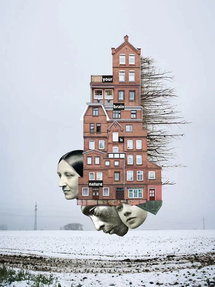 Your Brain Is Nature