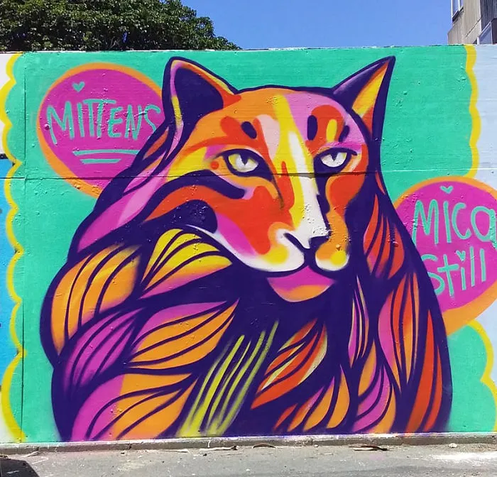 Este grupo de Facebook de 30.000 personas en Nueva Zelanda sirve para hacer fotos de un gato de la zona cada vez que se lo encuentran (30 fotos)