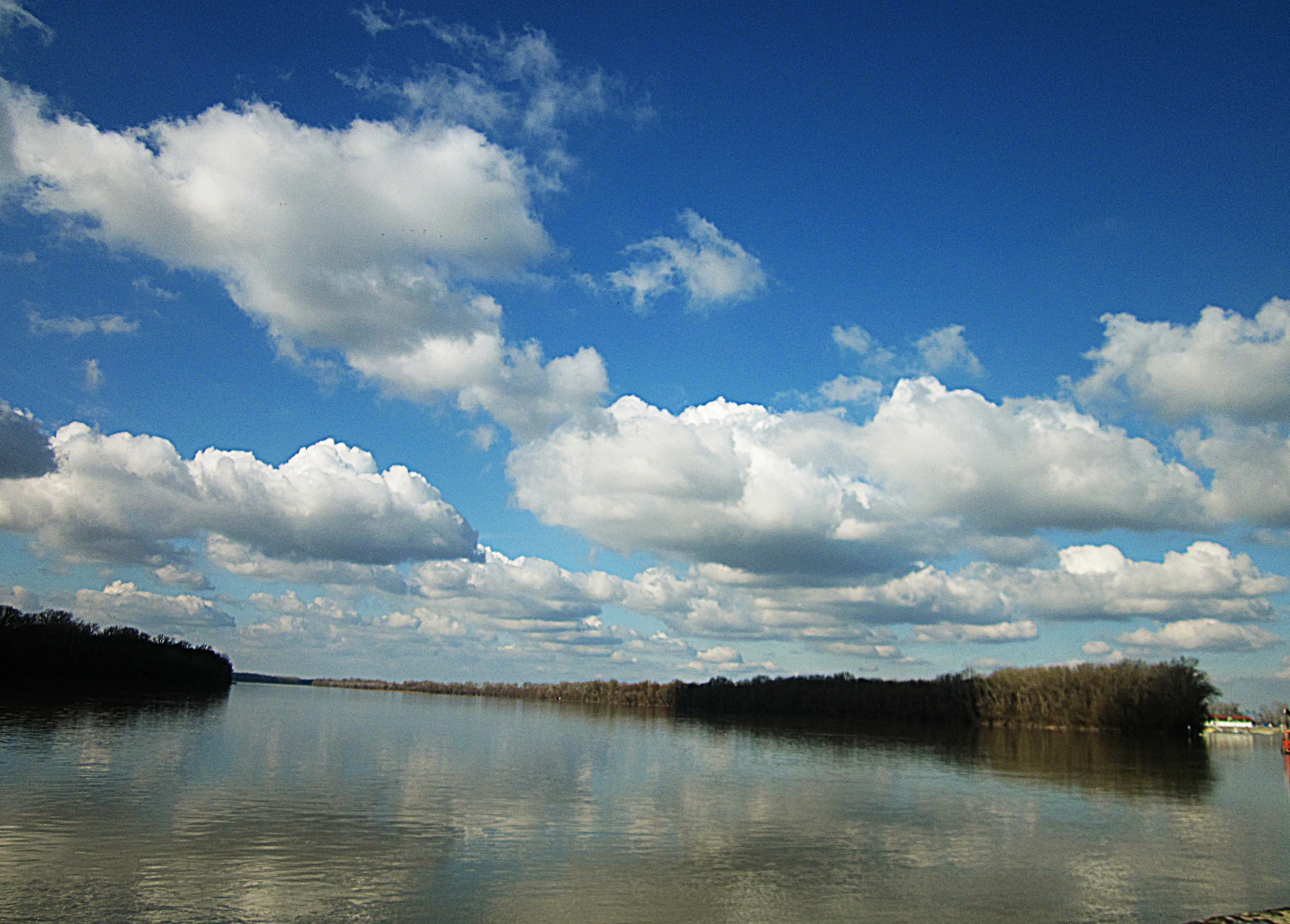 Down, By The River.