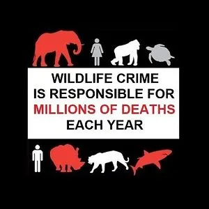 Protect All Wildlife