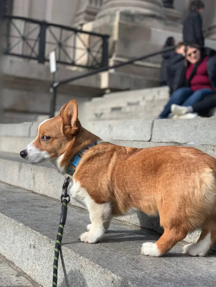 Juzgando a la gente a la entrada del museo