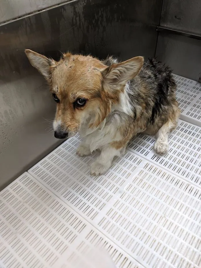 Bathtime Sadness