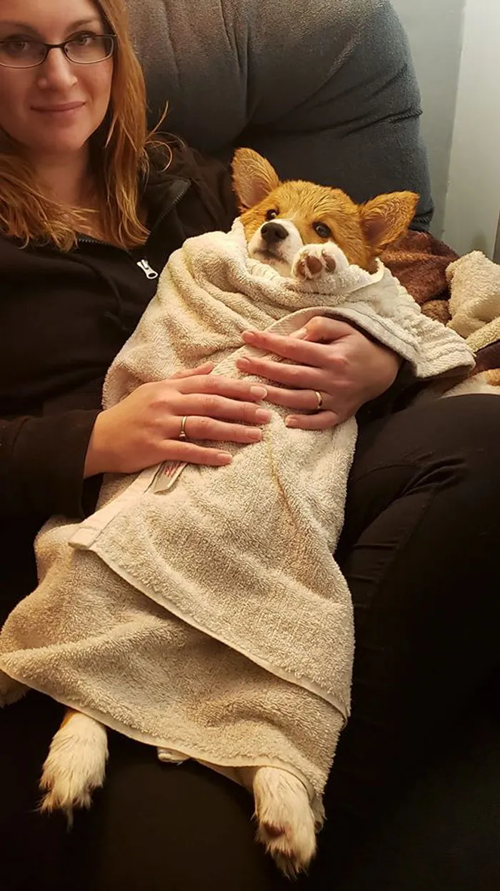 Somebody Isn't Happy That He Had To Have A Bath
