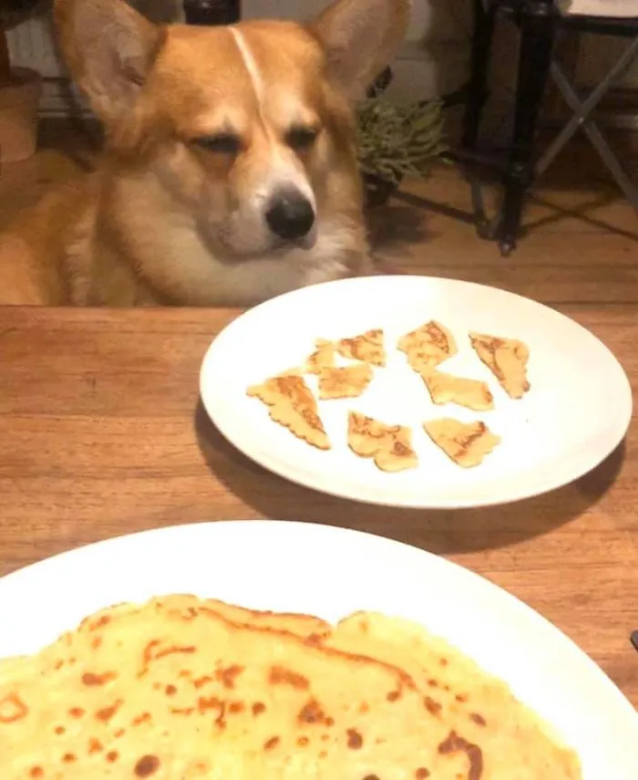 “What Is Dis?! Food For Ants??”  Skipper Disapproves Of Specially Made Small Crepe