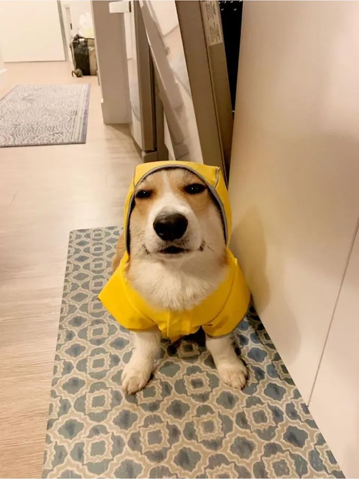 Severus desaprueba que esté lloviendo