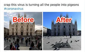 30 Memes Roasting Inconsiderate People Who Catch Cheap Flights During Coronavirus Outbreak