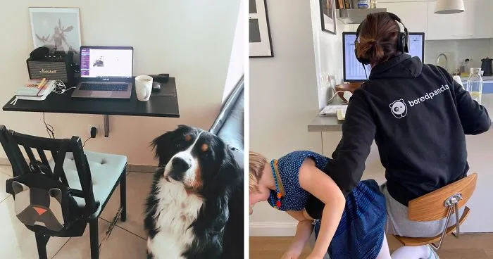 Hey, Pandas Who Are Now Forced To Work From Home, Post Your Workspace Setups