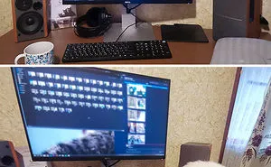 People Are Sharing How Their Pets Deal With Them Working From Home (40 Tweets)