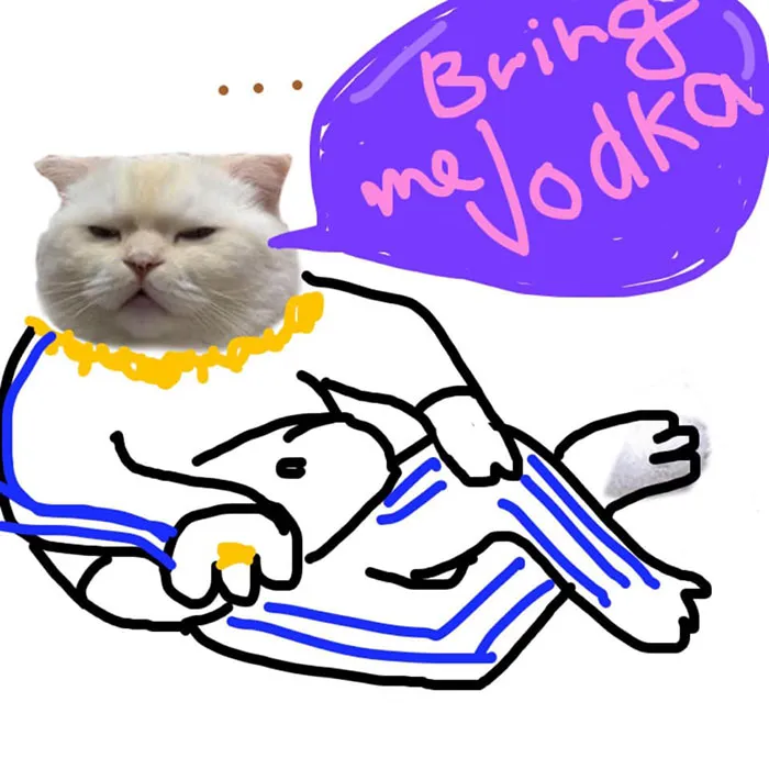 Someone Asks People To Draw A Cat Using This Template And People Create The Wildest Illustrations