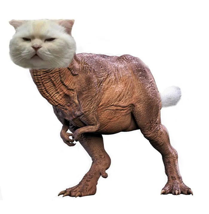 Someone Asks People To Draw A Cat Using This Template And People Create The Wildest Illustrations