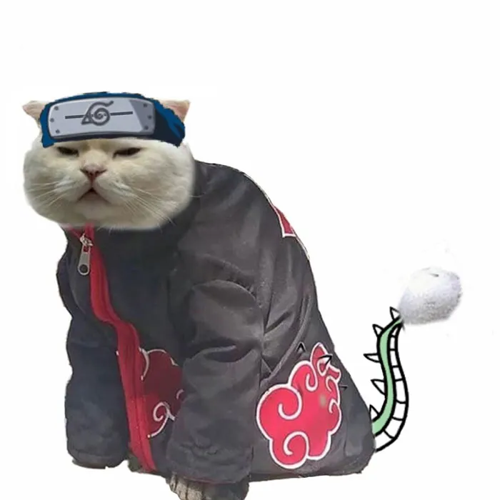 Someone Asks People To Draw A Cat Using This Template And People Create The Wildest Illustrations