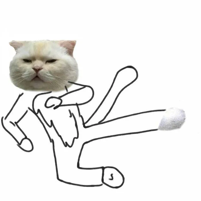 Someone Asks People To Draw A Cat Using This Template And People Create The Wildest Illustrations