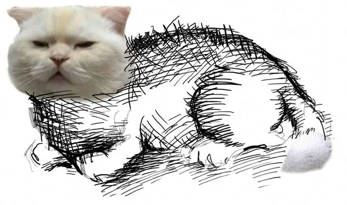 Someone Asks People To Draw A Cat Using This Template And People Create The Wildest Illustrations