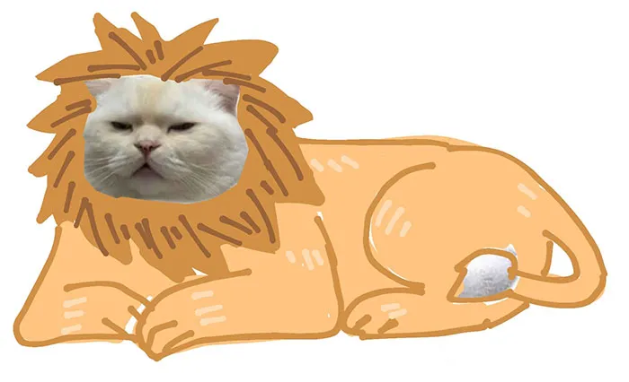 Someone Asks People To Draw A Cat Using This Template And People Create The Wildest Illustrations