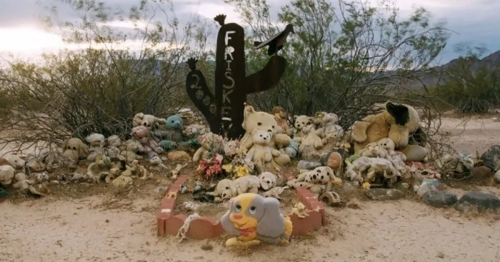 This Pet Cemetery Can Be The Stuff Of Nightmares, But All I've Ever Felt Out There Is Love